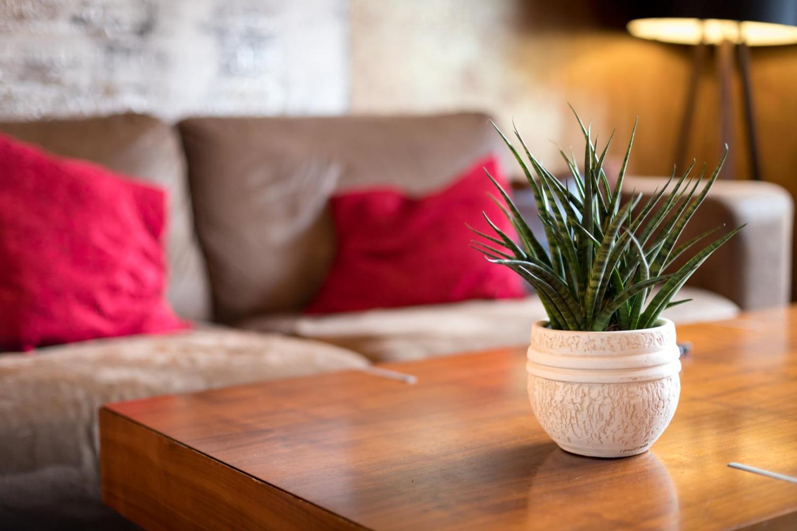 Special Retreat Apartment & Home-Office & Workplace Basel Ngoại thất bức ảnh